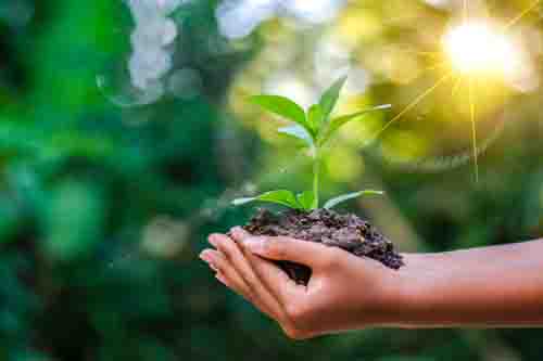 چالش‌های طرح مردمی کاشت یک میلیارد درخت بررسی می‌شود