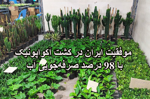 موفقیت ایران در «کشت آکواپونیک» با ۹۸ درصد صرفه‌جویی آب!