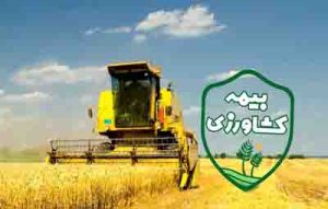 ضریب پوشش بیمه‌ای کشاورزی به ۶۰ تا ۷۰ درصد افزایش می‌یابد / نگرش اقتصادی