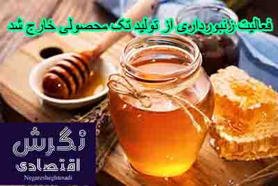 معاون امور تولیدات دامی وزارت جهاد کشاورزی