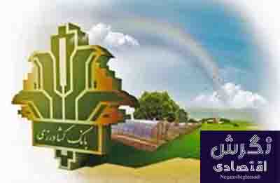 اثرگذاری بانک کشاورزی در مدیریت پایدار منابع پایه با حمایت 43 هزار میلیارد ریالی از توسعه گلخانه‌ها
