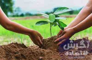 طرح مردمی کاشت یک میلیارد درخت