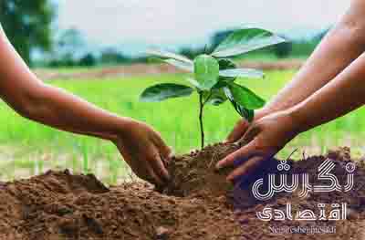 طرح مردمی کاشت یک میلیارد درخت