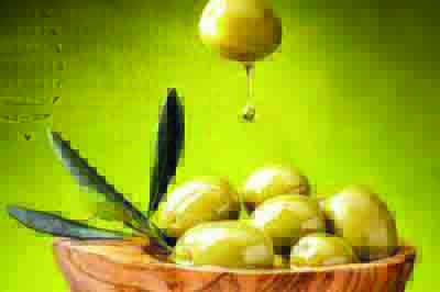 مجری طرح زیتون