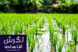 محمدجواد خاکزاد
