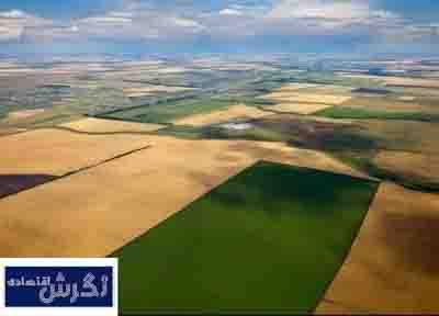 پیش‌بینی پایان صدور سند اراضی کشاورزی ظرف ۳ تا ۵ سال آینده / نگرش اقتصادی
