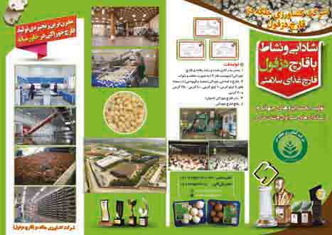 قارچ دزفول