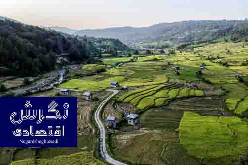 فرهنگ‌سازی حفاظت از اراضی کشاورزی یک اولویت است