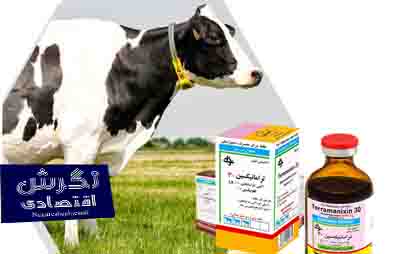 یک شرکت دانش بنیان موفق به ساخت اشکال مختلف دارویی مورد نیاز صنعت دام و طیور شد