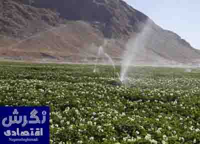 افتتاح ۱۰۰۴ پروژه آب و خاک در هفته دولت