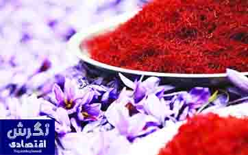 مجری طرح گیاهان دارویی وزارت جهاد