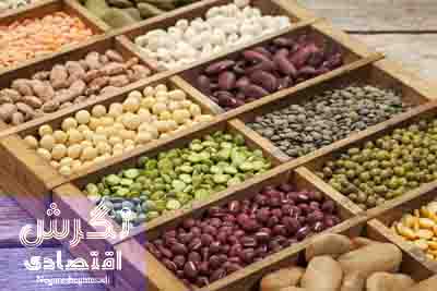 صادرات ۹۱ هزار تن حبوبات/ قیمت حبوبات در نیمه دوم سال کاهش می‌یابد