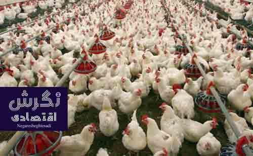 موسسه تحقیقات واکسن و سرم‌سازی رازی