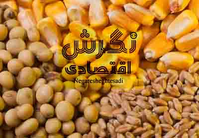 نهاده‌های دام و طیور برای پنج ماه آینده تامین است