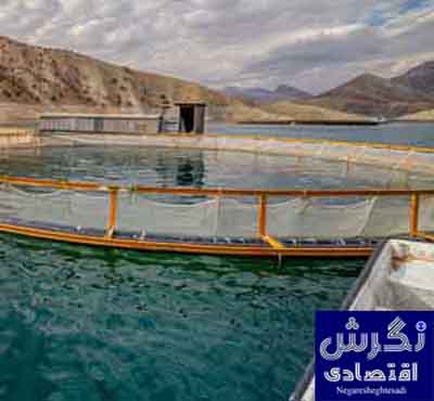 برنامه توسعه دریامحور با استفاده از ظرفیت جهادی در دولت چهاردهم