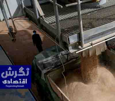 خودکفایی کالاهای اساسی نیازمند پایداری در تولید است