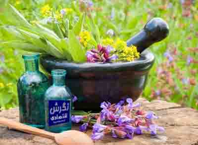 سند توسعه زنجیره ارزش گیاهان دارویی تدوین شد