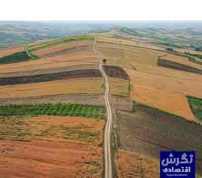 عمار هاشمی نگرش اقتصادی