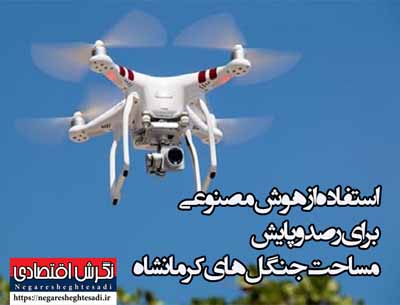 استفاده از هوش مصنوعی برای رصد و پایش مساحت جنگل‌های کرمانشاه