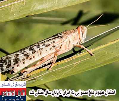 به گزارش خبرنگار نشریه نگرش اقتصادی