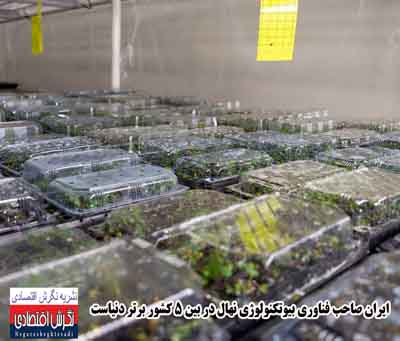 بنیانگذار صنعت کشت بافت گیاهی کشور