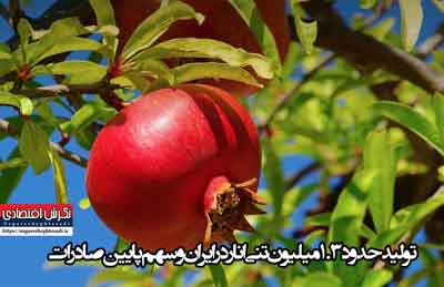 تولید حدود ۱.۳ میلیون تنی انار در ایران و سهم پایین صادرات