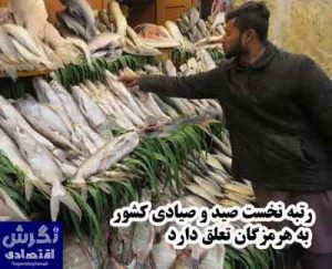 نگرش اقتصادی رتبه نخست صید و صیادی کشور به هرمزگان تعلق دارد / نگرش اقتصادی