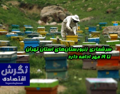 نشریه نگرش اقتصادی