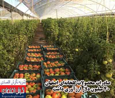 صادرات محصولات گلخانه‌ای