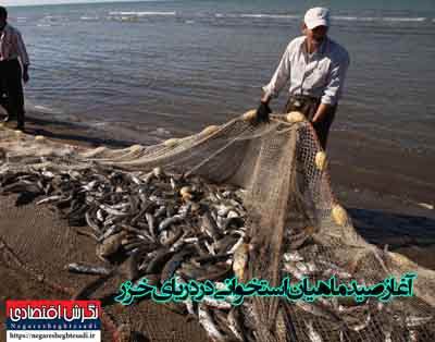 به گزارش خبرنگار نشریه نگرش اقتصادی