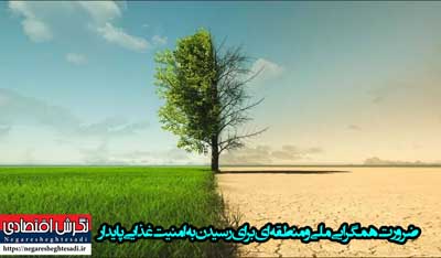 ضرورت همگرایی ملی و منطقه‌ای برای رسیدن به امنیت غذایی پایدار