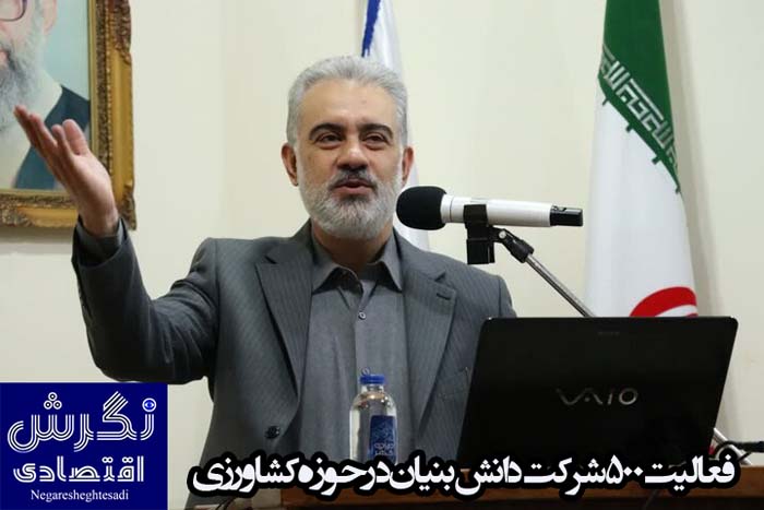 فعالیت ۵۰۰ شرکت دانش بنیان در حوزه کشاورزی