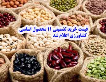 قیمت خرید تضمینی ۱۱ محصول اساسی کشاورزی اعلام شد