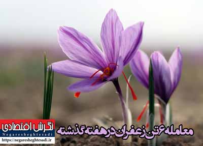 خبرنگار نشریه نگرش اقتصادی