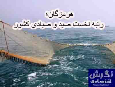 آغاز صید میگو در آب‌های هرمزگان