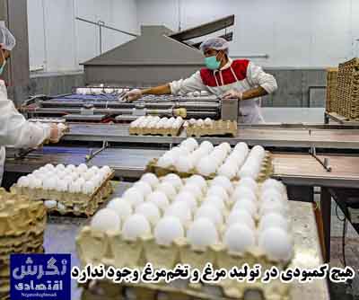 نشریه نگرش اقتصادی
