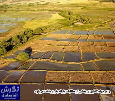 وزیر جهاد کشاورزی: بخشی از مطالبات یارانه بذر پرداخت می‌شود