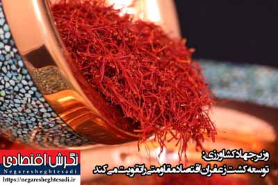 توسعه کشت زعفران