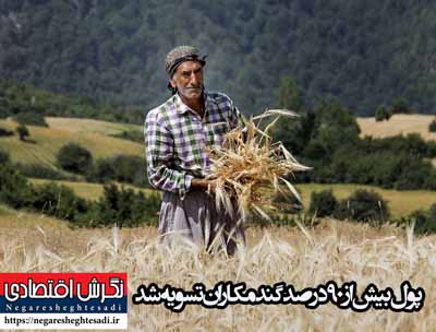 پول بیش از ۹۰ درصد گندمکاران تسویه شد