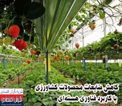 زهرا سلیمانی سردبیر و خبرنگار نشریه نگرش اقتصادی