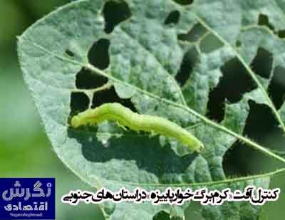 نشریه نگرش اقتصادی