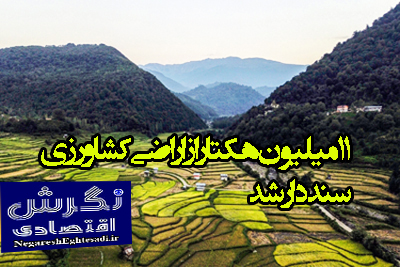 مدیرکل مهندسی و حدنگاری اراضی کشاورزی