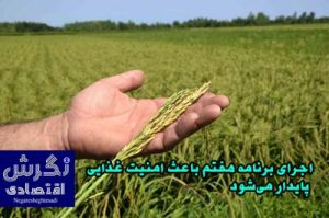 اجرای برنامه هفتم باعث امنیت غذایی پایدار می‌شود