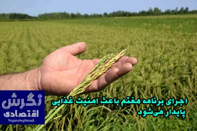 اجرای برنامه هفتم باعث امنیت غذایی پایدار می‌شود