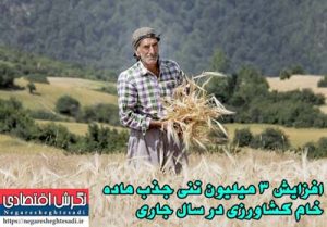 افزایش ۳ میلیون تنی جذب ماده خام کشاورزی در سال جاری