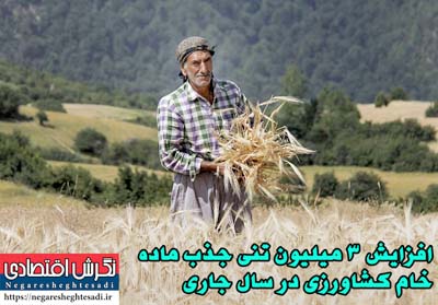 افزایش ۳ میلیون تنی جذب ماده خام کشاورزی در سال جاری