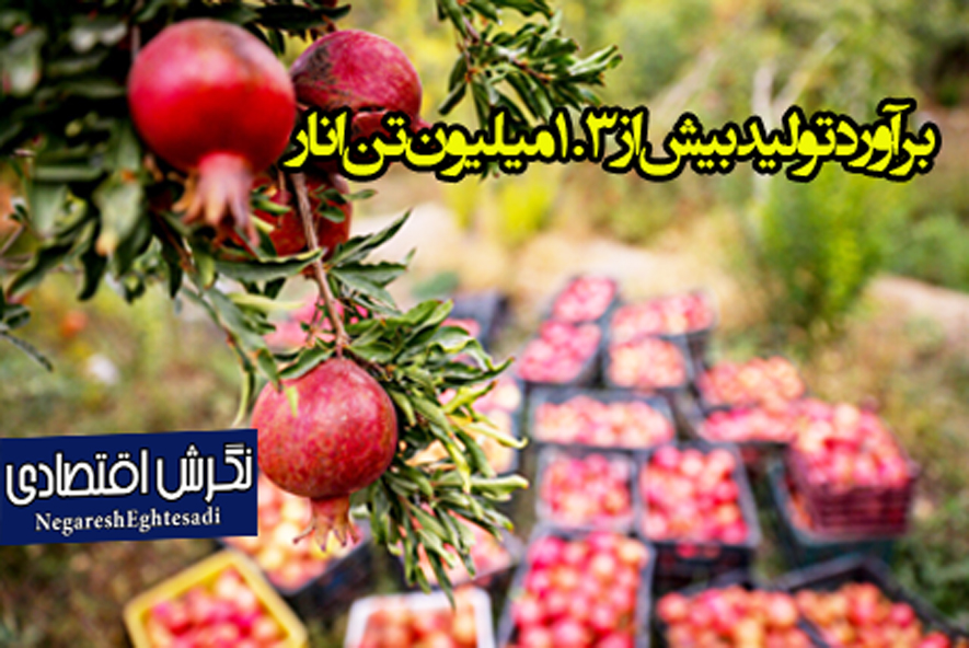 برآورد تولید بیش از ۱.۳ میلیون تن انار
