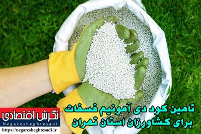 کود دی آمونیم فسفات