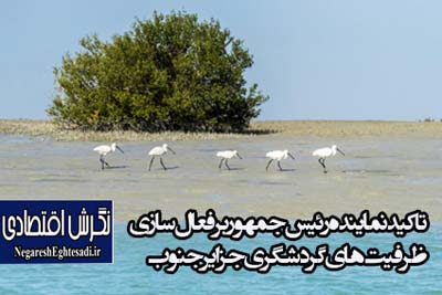 تاکید نماینده رئیس‌جمهور بر فعال‌سازی ظرفیت‌های گردشگری جزایر جنوب