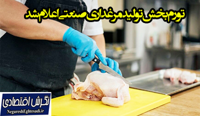تورم بخش تولید مرغداری صنعتی اعلام شد